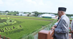 चिनियाँ राष्ट्रपतिको रात्रिभोजअघि प्रम ओलीको दुई अवलोकन भ्रमण, दुई महत्वपूर्ण भेटवार्ता