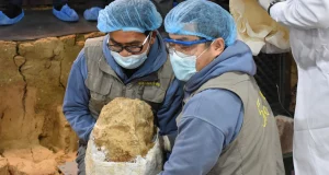 मानव विकासको नयाँ कथा बाचक दस लाख वर्ष पुरानो खोपडी